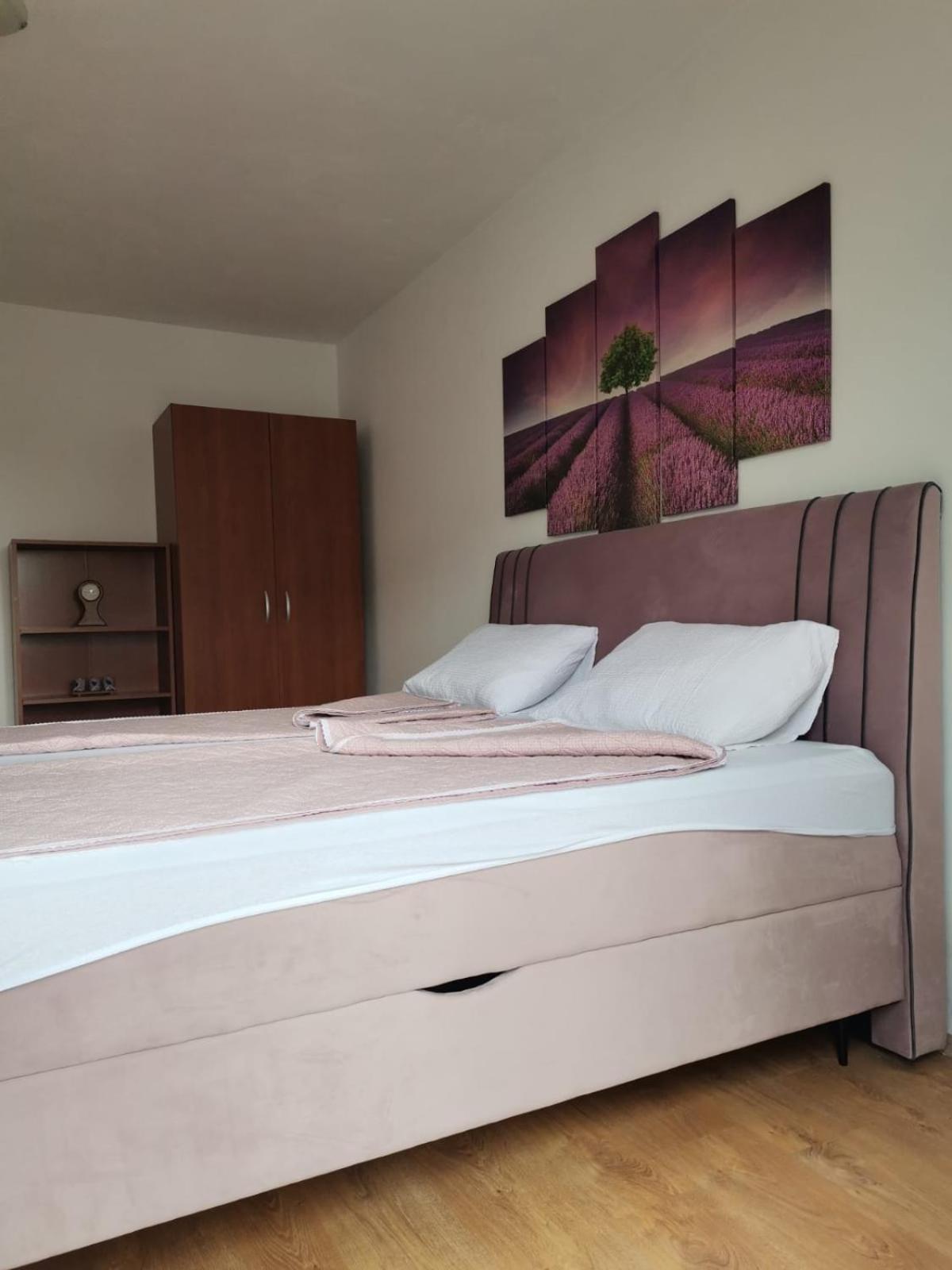 Apartment Franc *